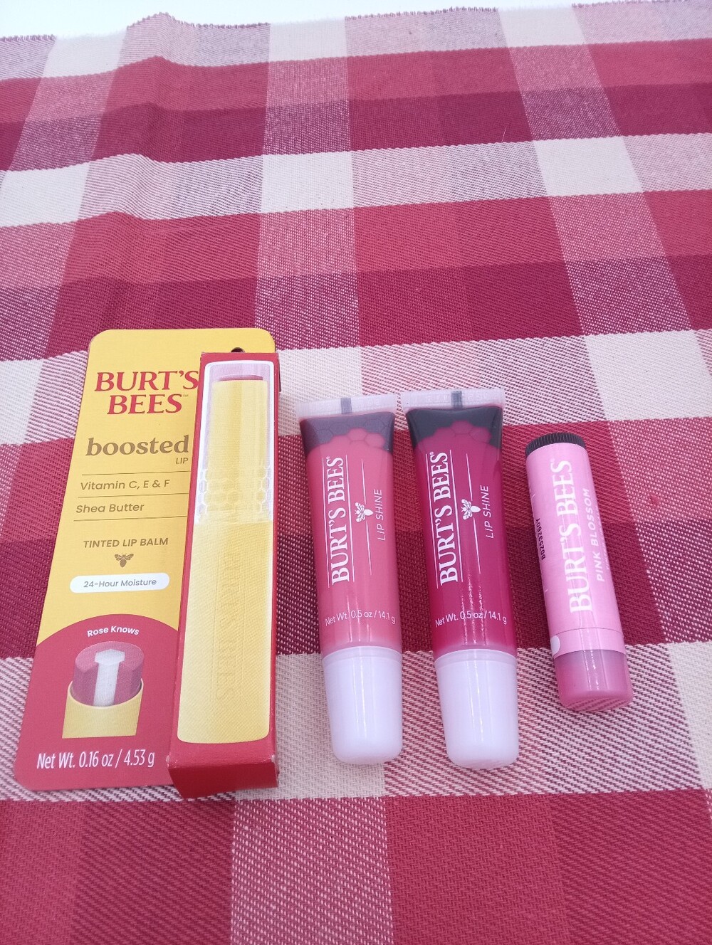Burt's Bees Bundle Lip New